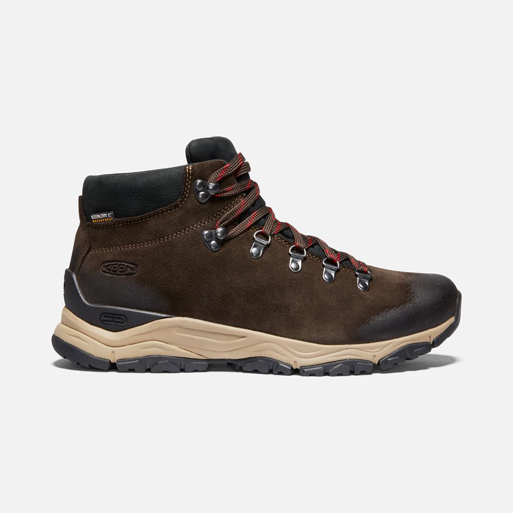 Keen Outdoor Bot Erkek Kahverengi - Feldberg Apx Waterproof - Türkiye NKPX72896